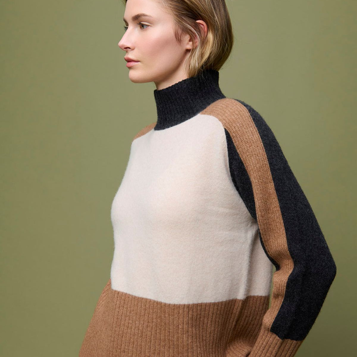 Turtleneck Colour Block Sweater