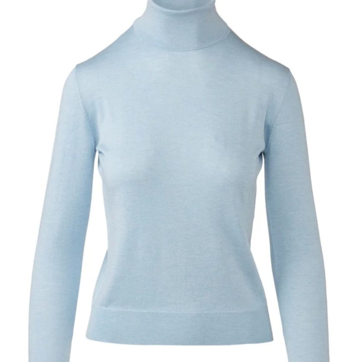 Fitted Turtleneck Sweater