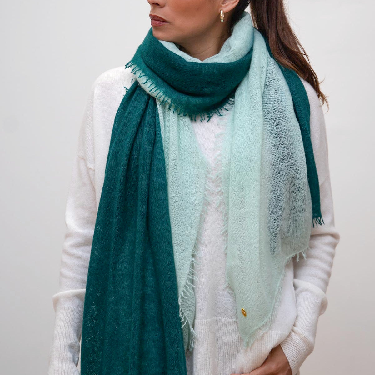 Felted Ombre Cashmere Scarf